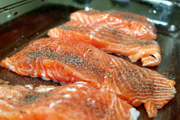 5 salmon fillets